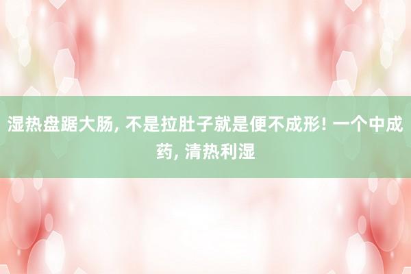 湿热盘踞大肠, 不是拉肚子就是便不成形! 一个中成药, 清热利湿