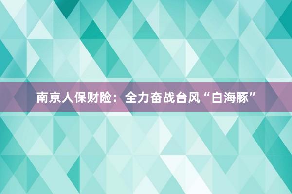 南京人保财险：全力奋战台风“白海豚”