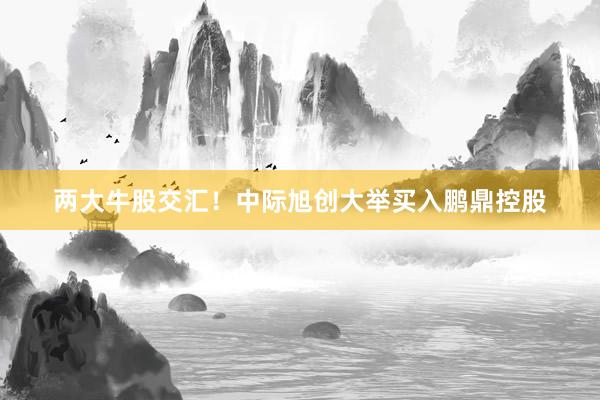 两大牛股交汇！中际旭创大举买入鹏鼎控股