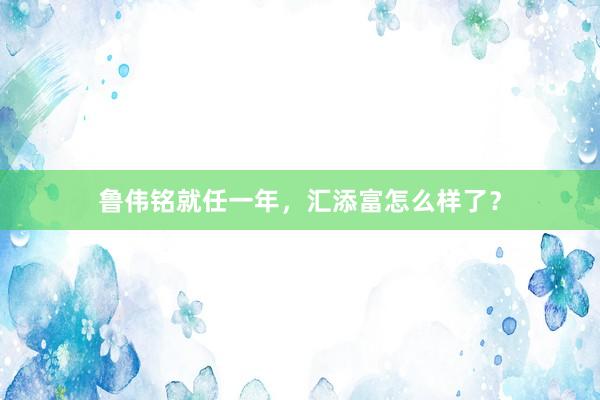 鲁伟铭就任一年，汇添富怎么样了？