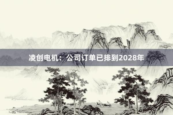 凌创电机：公司订单已排到2028年