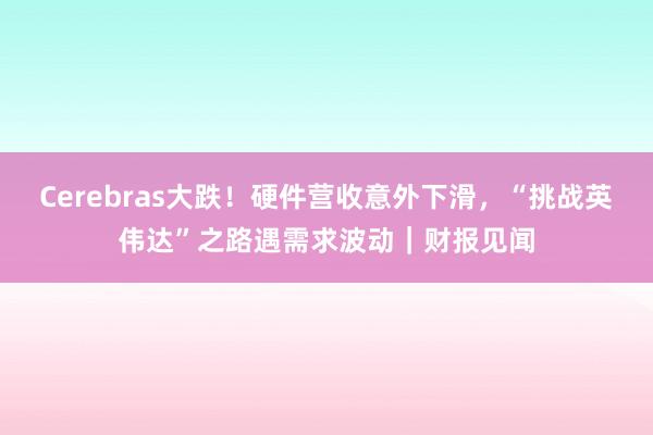 Cerebras大跌！硬件营收意外下滑，“挑战英伟达”之路遇需求波动｜财报见闻