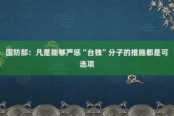 国防部：凡是能够严惩“台独”分子的措施都是可选项