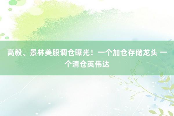 高毅、景林美股调仓曝光！一个加仓存储龙头 一个清仓英伟达