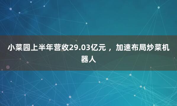 小菜园上半年营收29.03亿元 ，加速布局炒菜机器人