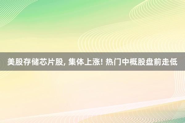 美股存储芯片股, 集体上涨! 热门中概股盘前走低