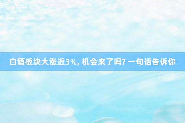 白酒板块大涨近3%, 机会来了吗? 一句话告诉你