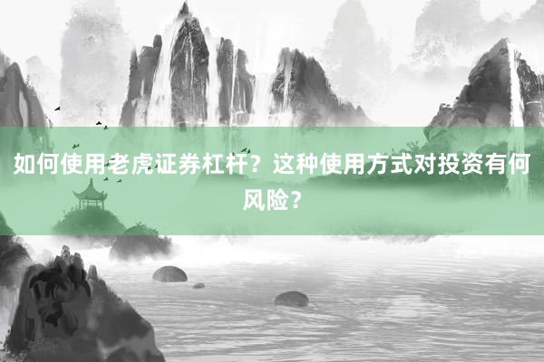 如何使用老虎证券杠杆？这种使用方式对投资有何风险？