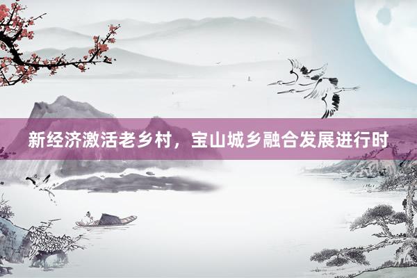新经济激活老乡村，宝山城乡融合发展进行时