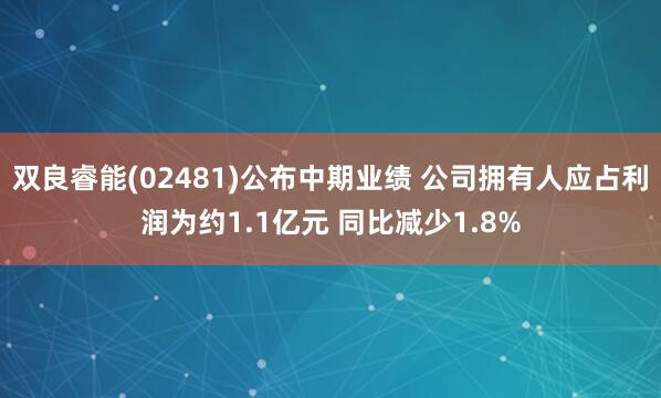 双良睿能(02481)公布中期业绩 公司拥有人应占利润为约1.1亿元 同比减少1.8%