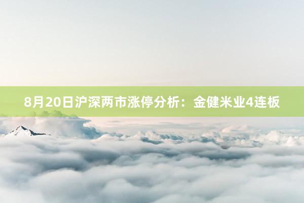 8月20日沪深两市涨停分析：金健米业4连板