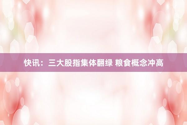 快讯：三大股指集体翻绿 粮食概念冲高