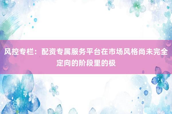 风控专栏：配资专属服务平台在市场风格尚未完全定向的阶段里的极