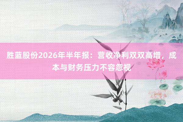 胜蓝股份2026年半年报：营收净利双双高增，成本与财务压力不容忽视