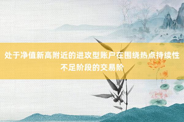 处于净值新高附近的进攻型账户在围绕热点持续性不足阶段的交易阶