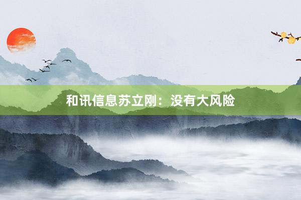 和讯信息苏立刚：没有大风险