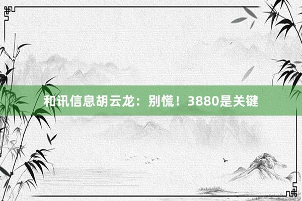和讯信息胡云龙：别慌！3880是关键