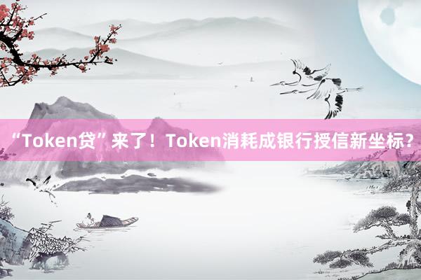 “Token贷”来了!Token消耗成银行授信新坐标?