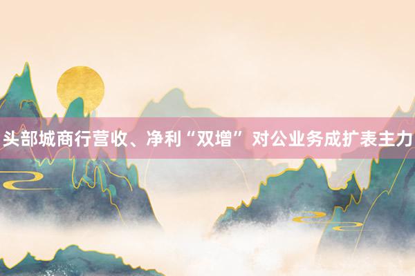 头部城商行营收、净利“双增” 对公业务成扩表主力