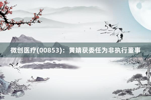 微创医疗(00853)：黄婧获委任为非执行董事