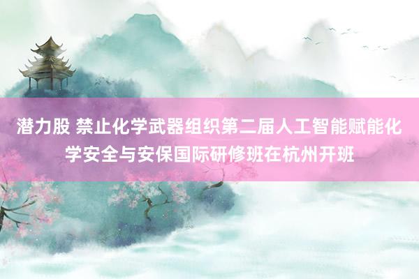 潜力股 禁止化学武器组织第二届人工智能赋能化学安全与安保国际研修班在杭州开班