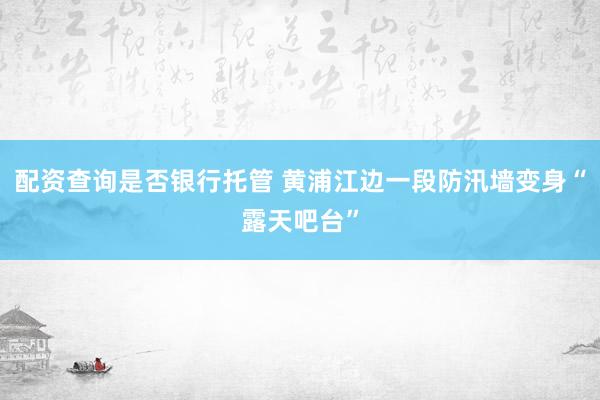 配资查询是否银行托管 黄浦江边一段防汛墙变身“露天吧台”