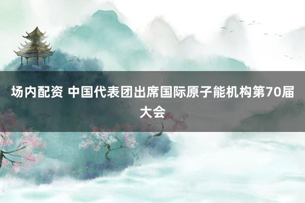 场内配资 中国代表团出席国际原子能机构第70届大会