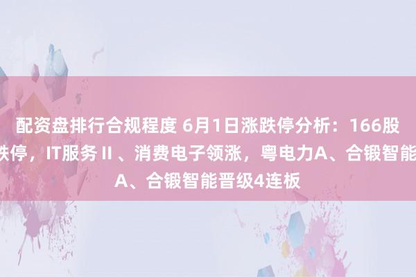 配资盘排行合规程度 6月1日涨跌停分析：166股涨停23股跌停，IT服务Ⅱ、消费电子领涨，粤电力A、合锻智能晋级4连板
