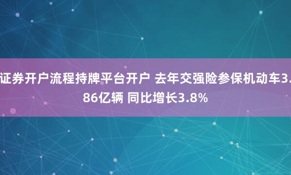 证券开户流程持牌平台开户 去年交强险参保机动车3.86亿辆 同比增长3.8%