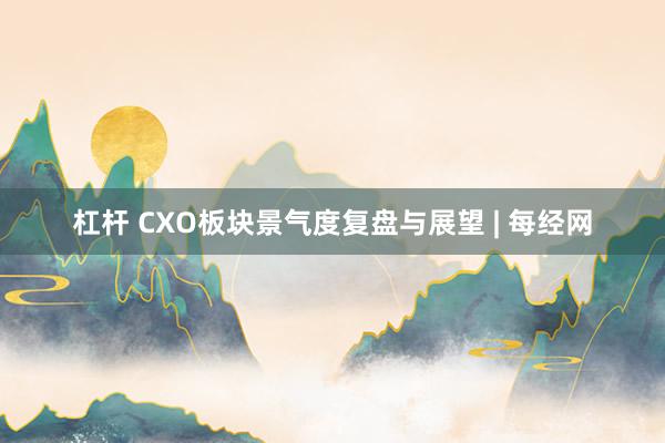 杠杆 CXO板块景气度复盘与展望 | 每经网