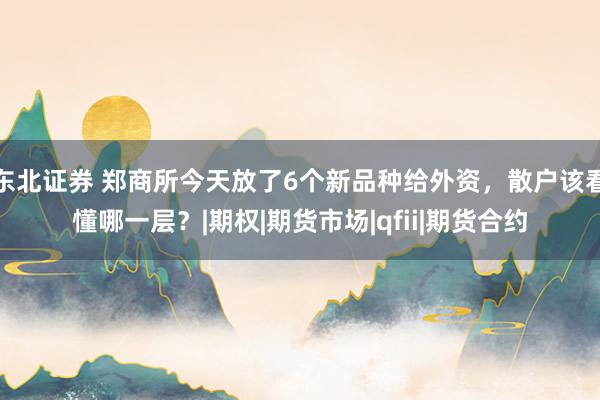 东北证券 郑商所今天放了6个新品种给外资，散户该看懂哪一层？|期权|期货市场|qfii|期货合约