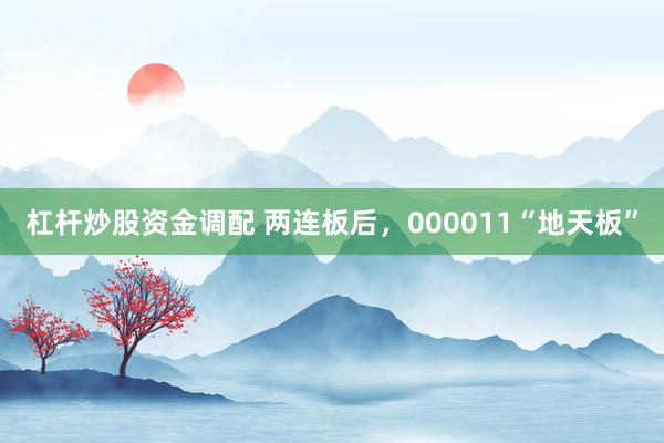 杠杆炒股资金调配 两连板后，000011“地天板”